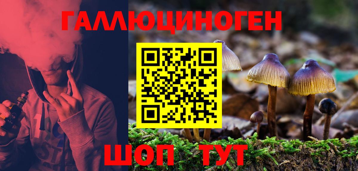 Гуково  Галлюциногенные грибы MAGIC MUSHROOMS  купить наркоту  Вход с VPN 